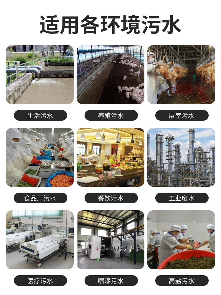 2024061417180296296.jpg